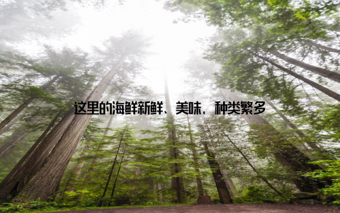 这里的海鲜新鲜、美味, 种类繁多