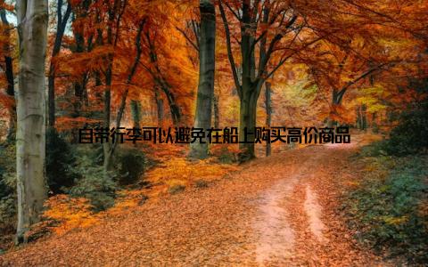 自带行李可以避免在船上购买高价商品