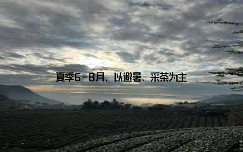 夏季6-8月, 以避暑、采茶为主
