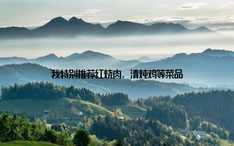 我特别推荐红烧肉、清炖鸡等菜品