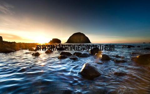 游客可以品尝到正宗的茅山老鹅