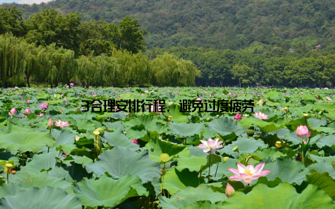 3合理安排行程, 避免过度疲劳