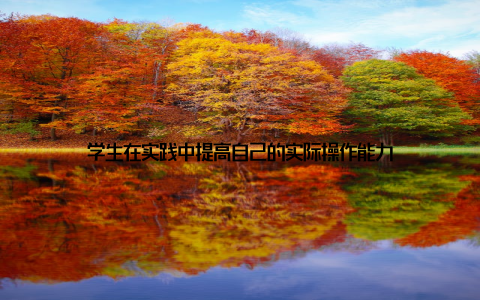 学生在实践中提高自己的实际操作能力