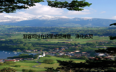 游客可以在这里感受禅意, 净化心灵