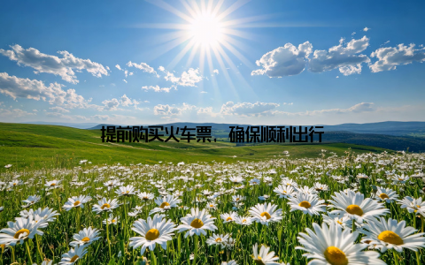 提前购买火车票, 确保顺利出行