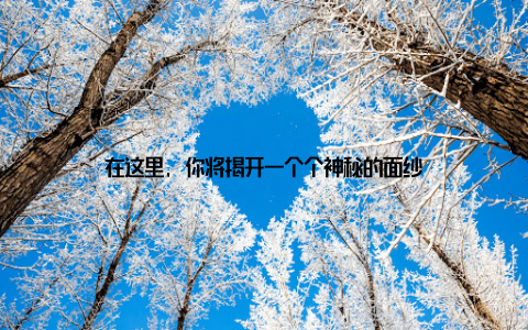 在这里, 你将揭开一个个神秘的面纱