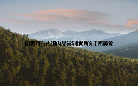 游客可在古镇内品尝到地道的江南美食