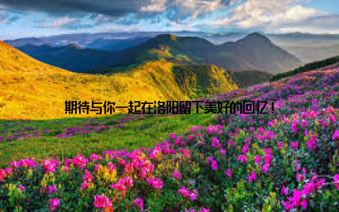 期待与你一起在洛阳留下美好的回忆!