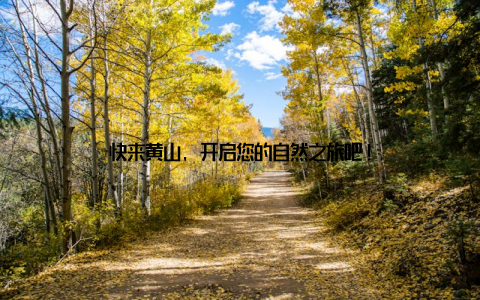 快来黄山, 开启您的自然之旅吧!