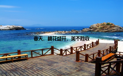 春天, 桃花盛开, 美不胜收