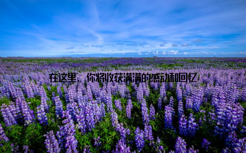 在这里, 你将收获满满的感动和回忆