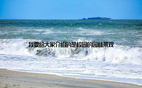 我要给大家介绍的是校园的园林景观