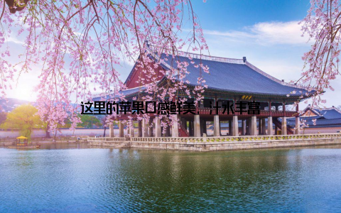 这里的苹果口感鲜美, 汁水丰富