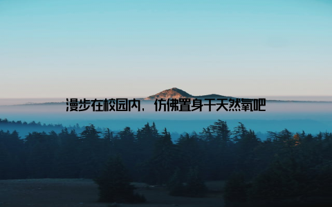 漫步在校园内, 仿佛置身于天然氧吧