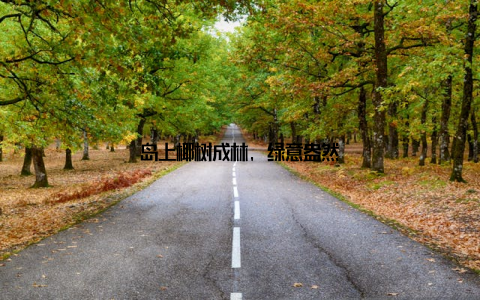 岛上椰树成林, 绿意盎然