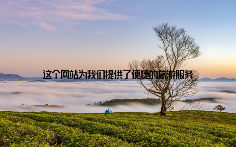 这个网站为我们提供了便捷的旅游服务