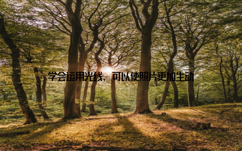 学会运用光线, 可以使照片更加生动