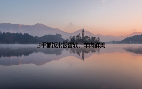 3手抓饭米饭香软, 羊肉鲜美