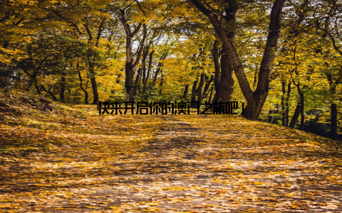 快来开启你的澳门之旅吧!