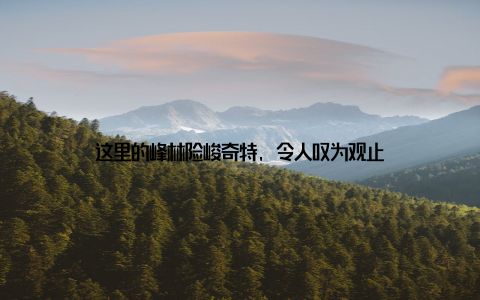 这里的峰林险峻奇特, 令人叹为观止