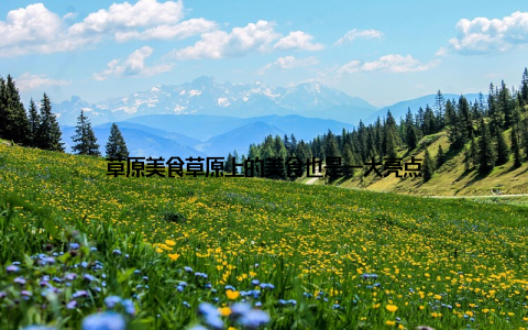 草原美食草原上的美食也是一大亮点