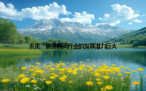 未来, 旅游顾问行业的发展潜力巨大