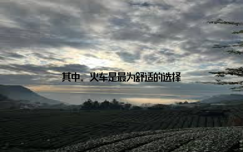 其中, 火车是最为舒适的选择