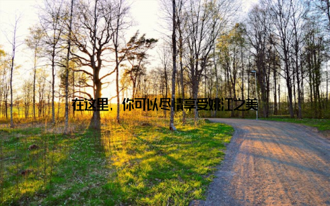 在这里, 你可以尽情享受姚江之美