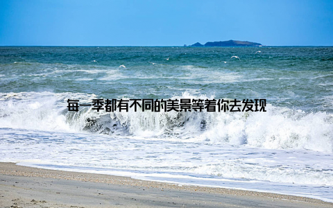 每一季都有不同的美景等着你去发现