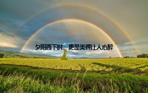 夕阳西下时, 更是美得让人心醉