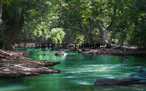 游客不妨尝试一下这道经典菜肴