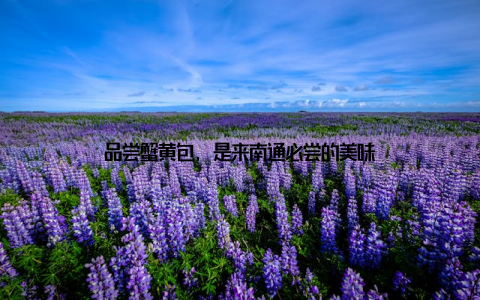 品尝蟹黄包, 是来南通必尝的美味